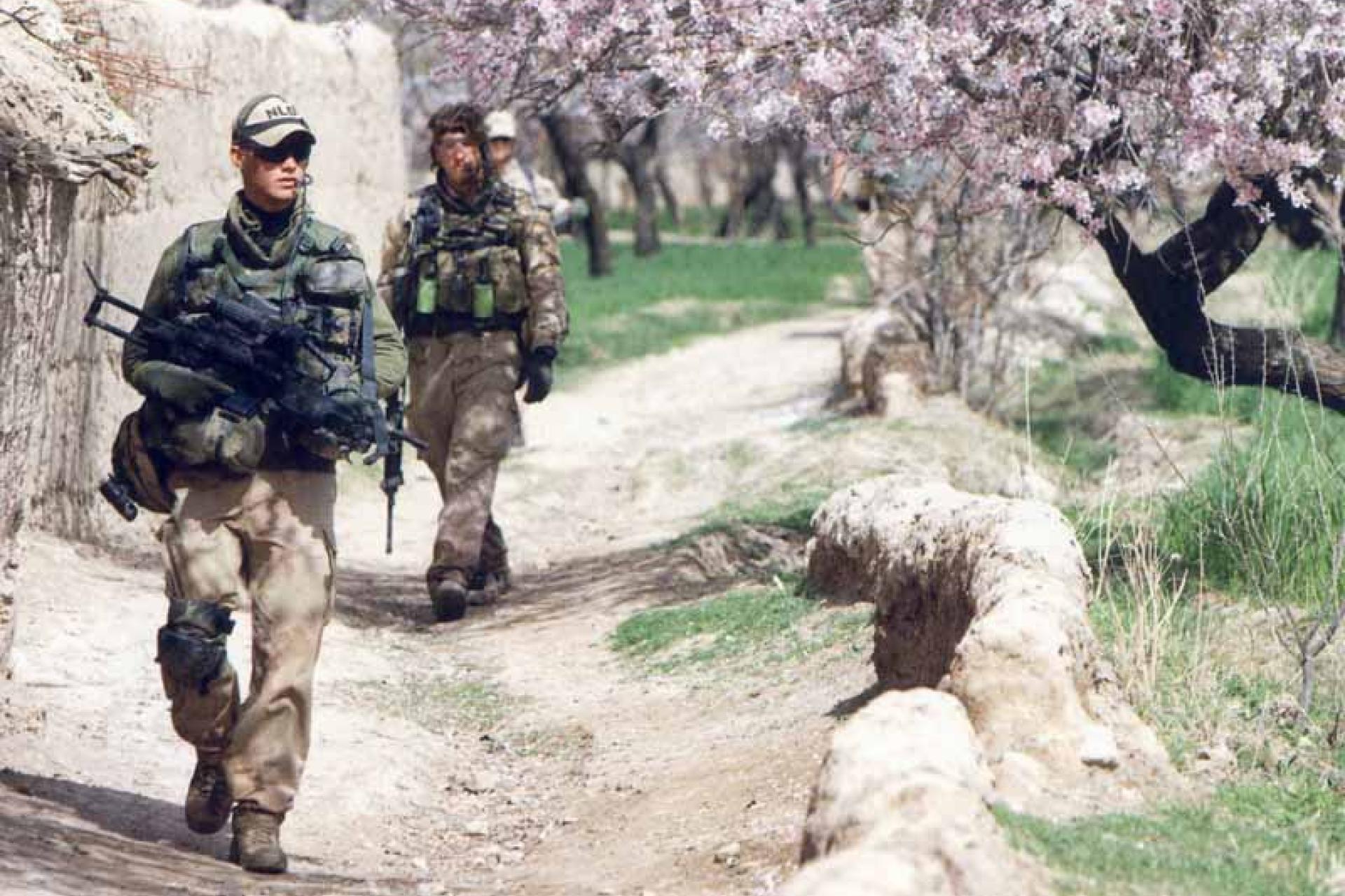 Twee soldaten op patrouille in Afghanistan met op de achtergrond een gebouw en boom in bloei