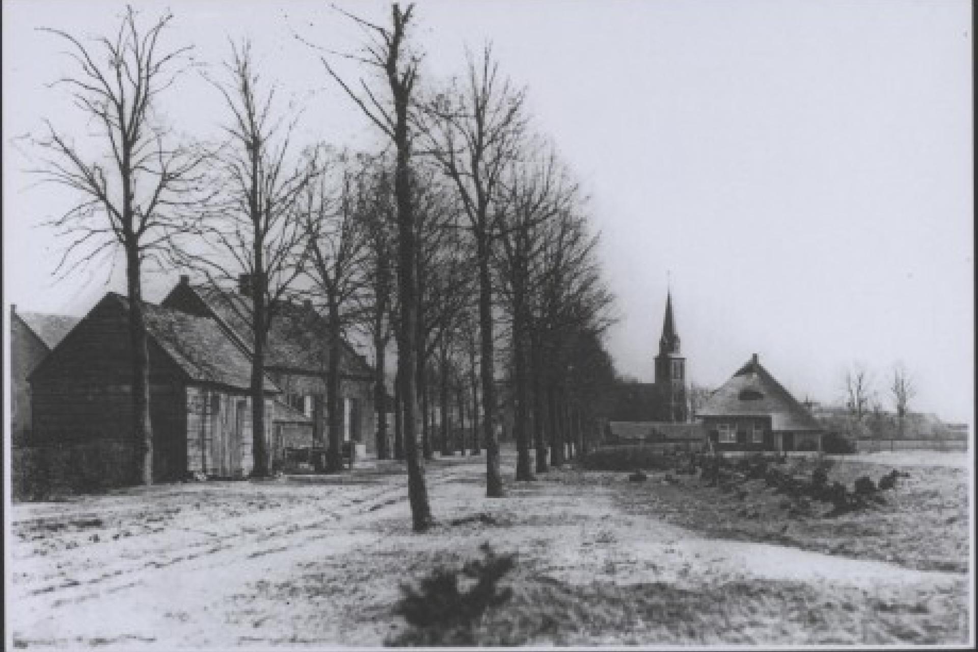 oude foto van Handel met daarop een aantal huizen, bomen en weiland